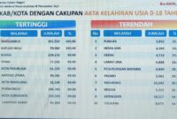 Capaian Disdukcapil Tanggamus | Dok. Istimewa.