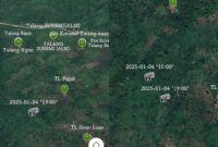 Posisi Gajah terdeteksi GPS Collar di area dekat Talang Pulut dan Talang Sinar Luas, Blok 4, Sabtu 4 Januari 2025  pukul 19.00 WIB | Dok. Ohiem.