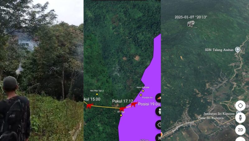 Kolase foto pelepasan terakhir petasan mengiringi perjalanan gajah liar memasuki TNBBS dan pergerakan GPS Collar gajah kelompok bunga, Selasa 7 Januari 2025.