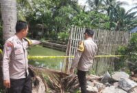 Kolam ikan lokasi tewasnya anak 5 tahun di Pekon Kresnomulyo, Kecamatan Ambarawa, Pringsewu, Sabtu 11 Januari 2025.