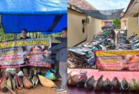 Kolase foto saat polisi melakukan penggerebekan sabung ayam dan barang bukti yang berhasil diamankan, Minggu 12 Januari 2025 | Dok. Humas Polres Pringsewu.