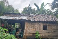 Kondisi rumah Surtini berada di Gang Talang Wir Dusun Sindang Agung, RT 003 RW 003, Pekon Sindang Marga, Kecamatan Pulau Panggung, Kabupaten Tanggamus, Provinsi Lampung, Rabu 15 Januari 2025 | Asrul Ariski/Media Prioritastv.com.