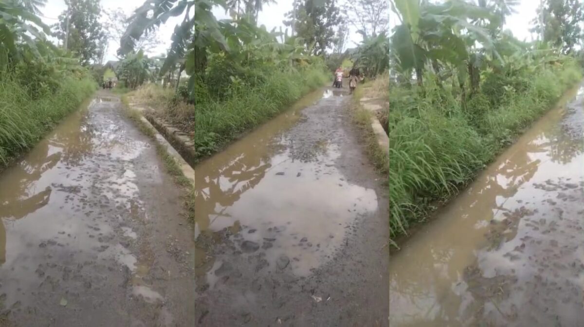 Kolase foto jalan masuk ke SDN 1 Pulau Panggung dalam kondisi rusak dan tergenang | Foto Tangkapan Layar Video.