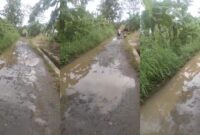 Kolase foto jalan masuk ke SDN 1 Pulau Panggung dalam kondisi rusak dan tergenang | Foto Tangkapan Layar Video.