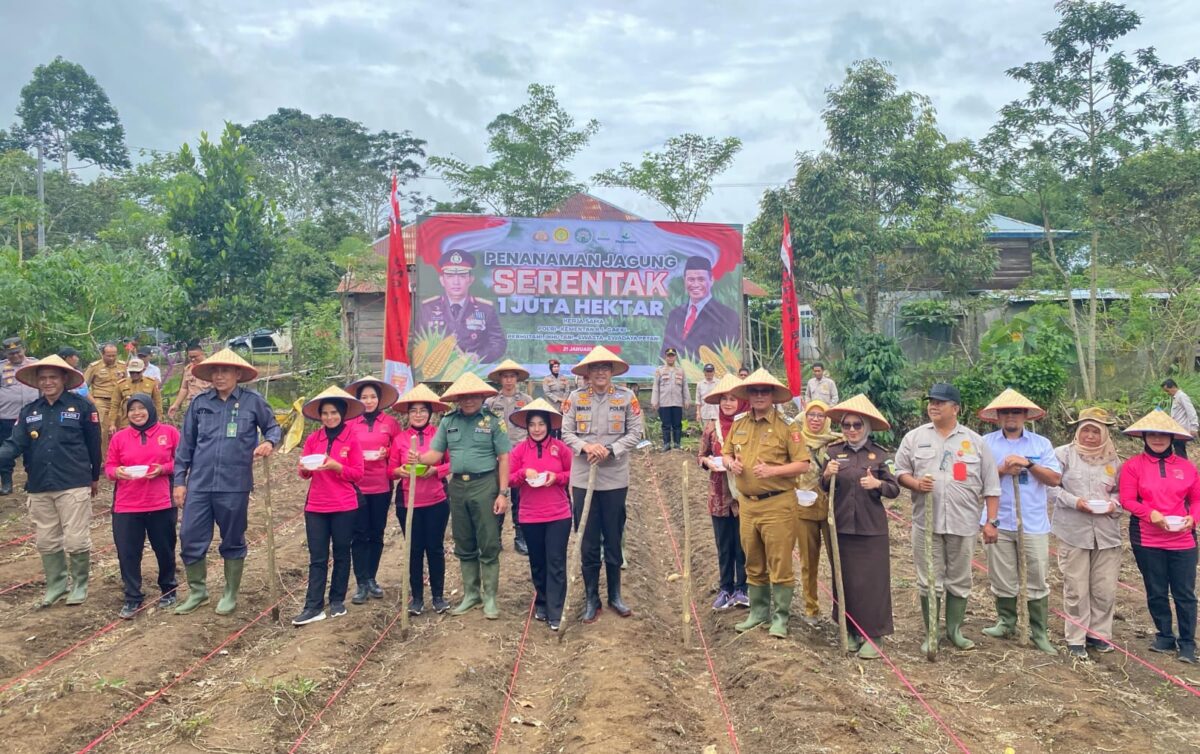 Pj Bupati Lampung Barat Nukman saat melaksanakan tanam jagung serentak, Selasa 21 Januari 2025 | Kamto Winendra/Media Prioritastv.com.