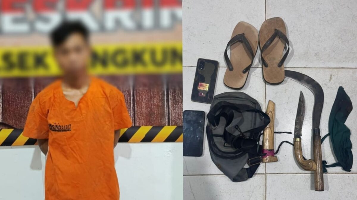 Kolase foto tersangka Anto Julianto dan barang bukti yang diamankan Polsek Bengkunat Polres Pesisir Barat, Kamis 23 Januari 2025 | Dok. Polsek Bengkunat.