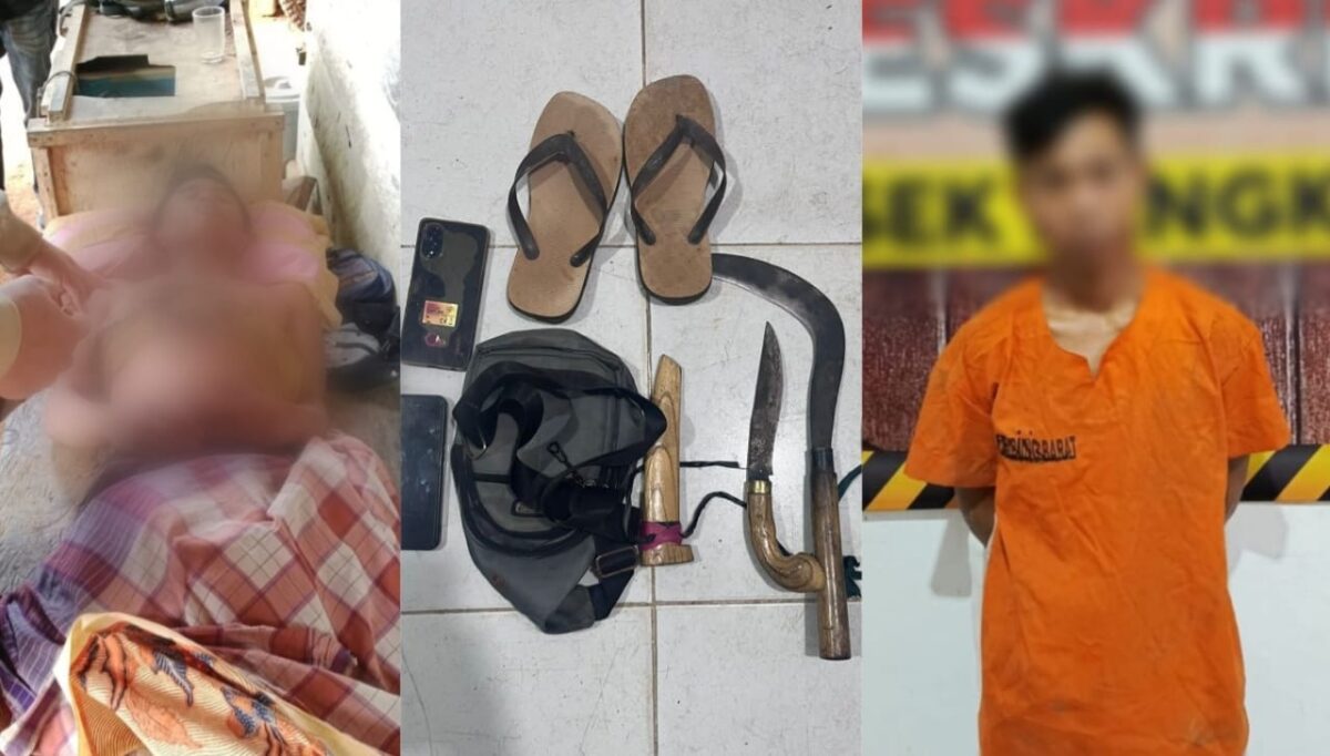 Kolase foto saat korban dievakuasi ke rumah kakaknya, barang bukti yang diamankan dan tersangka Anto Julianto yang berhasil ditangkap polisi, Kamis 23 Januari 2025 | Suroso/Media Prioritastv.com/Polsek Bengkunat.