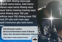 Kolase foto ancaman kekerasan seksual fantasy dan pelaku yang berhasil ditemukan oleh PLB | Dok. PLB Lambar.