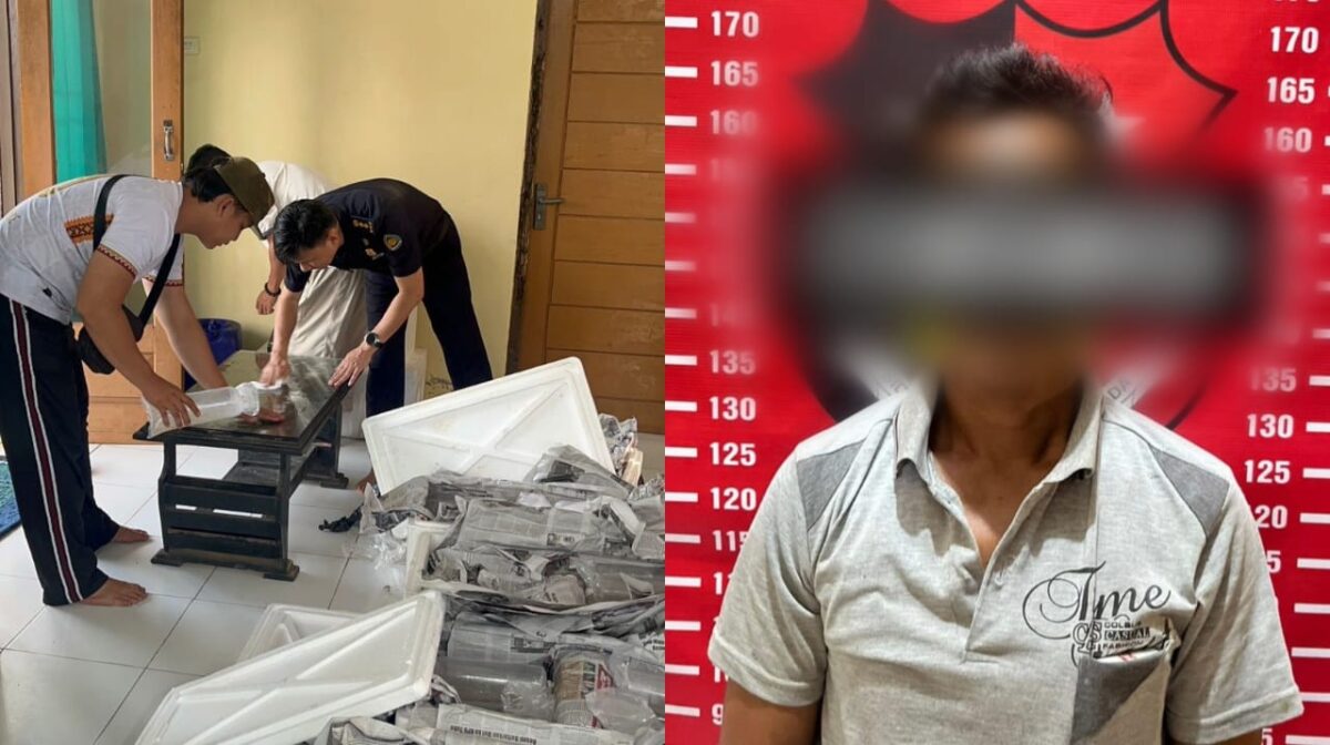 Kolase foto polisi saat mengamankan barang bukti dan tersangka yang ditahan Polres Pesisir Barat, Jumat 31 Januari 2025 | Dok. Humas Polres Pesisir Barat.
