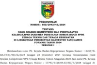 Pengumuman Kelulusan PPPK Tanggamus | tanggamus.go.id.