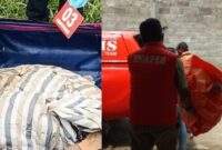 Kolase foto saat identifikasi temuan koper berisi potongan tubuh korban dan evakuasi temuan kepala korban, Minggu 26 Januari 2025.