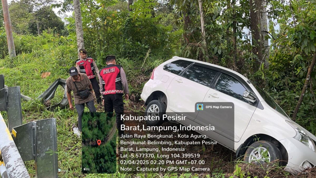 Mobil Avanza yang di Jalinbar Bengkunat, Kabupaten Pesisir Barat, Selasa siang 4 Februari 2025 pukul 14.00 WIB.
