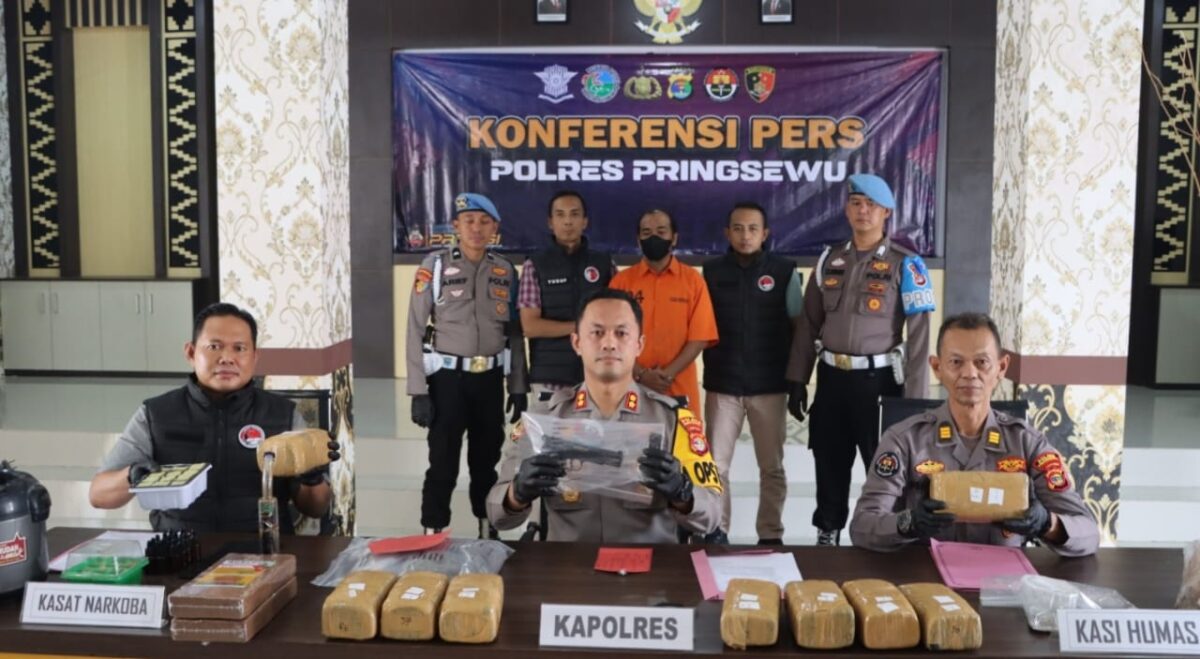 Kapolres Pringsewu, AKBP M. Yunnus Saputra saat menunjukan barang bukti senjata api dan puluhan kilo ganja kering dalam konferensi pers, Selasa 11 Februari 2025 | Davit/Media Prioritastv.com.