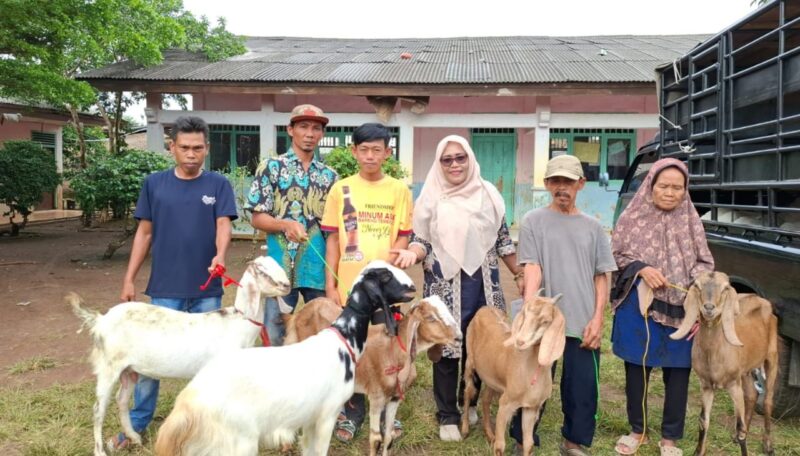 Penyerahan kambing kepada penerima manfaat oleh Ketua LKS Alamanda Tanggamus Roswati Purwantari di Pekon Talang Lebar, Pugung, Tanggamus, Sabtu 22 Februari 2025 | Zainal Abidin/Media Prioritastv.com.