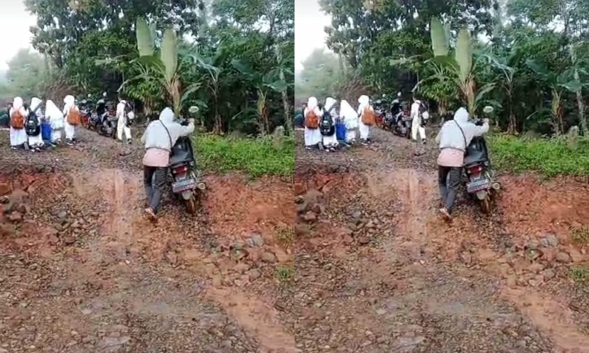 Kolase foto jalan amblas di di Talang Muara Batu Tegi, Kecamatan Air Naningan, Kabupaten Tanggamus, Senin 24 Februari 2025 | Facebook Nadia Margareta.