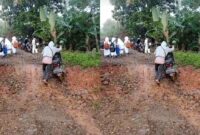 Kolase foto jalan amblas di di Talang Muara Batu Tegi, Kecamatan Air Naningan, Kabupaten Tanggamus, Senin 24 Februari 2025 | Facebook Nadia Margareta.