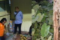 Kolase foto saat tim Inafis Polres Tanggamus melakukan identifikasi dan saat petugas menemukan kabel listrik berada di ketinggian 1 meter diatas tanah di Kelurahan Baros, Kota Agung, Tanggamus, Jumat 7 Februari 2025, malam | Dok. Humas Polres Tanggamus.