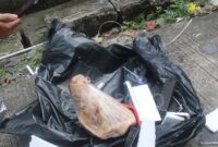 Teror Kepala Babi Kantor Tempo, Kamis 20 Maret 2025 | Dok. Tempo.