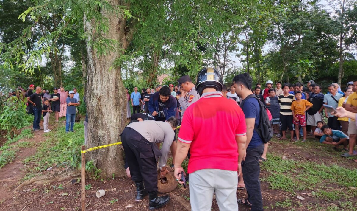 Polisi saat melakukan evakuasi korban dugaan gantung diri di pohon asam di Pekon Sidoharjo, Pringsewu, Sabtu 1 Maret 2025 | Davit/Media Prioritastv.com.
