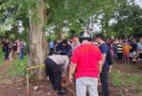 Polisi saat melakukan evakuasi korban dugaan gantung diri di pohon asam di Pekon Sidoharjo, Pringsewu, Sabtu 1 Maret 2025 | Davit/Media Prioritastv.com.