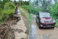 Kolase foto badan jalan yang ambrol di Pekon Sinar Bangun, Bandar Negeri Semuong, Tanggamus dan kondisi jalan yang rusak tergenang di wilayah setempat, Senin 3 Maret 2025 | Dok. Istimewa.