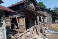 Rumah gubuk warga yang dirusak gajah kelompok bunga di Umbul 8, Pekon Karang Agung, Semaka, Tanggamus, Senin 3 Maret 2025 | Dok. Istimewa.