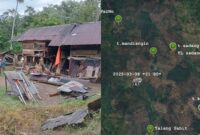 Kolase foto rumah warga yang dirusak kelompok gajah di Talang Badar, Blok 3, BNS, Tanggamus, Jumat 7 Maret 2025 dinihari dan posisi kelompok gajah pada Sabtu 8 Maret 2025 pukul 21.00 WIB | Dok. Istimewa.