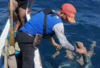 Jenazah korban saat dievakuasi oleh petugas Tagana Cukuh Balak, Rabu 12 Maret 2025 | Dok. Istimewa.