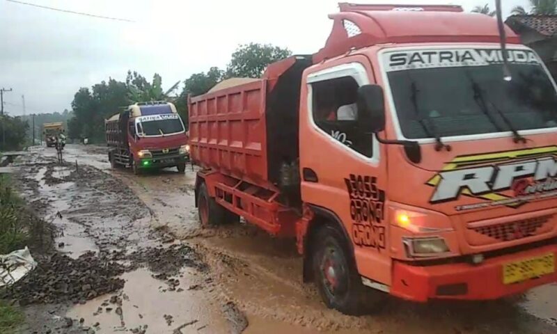 Kondisi Jalan yang memprihatinkan di Dusun 3 dan 5, Kampung Sri Way Langsep, Kecamatan Kalirejo, Kabupaten Lampung Tengah | Davit Segara/Media Prioritastv.com.