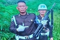 Senjata yang diduga digunakan Kopda Basar menembak 3 polisi di Way Kanan, Lampung berisi peluru kaliber 5,56 mm | Dok. Denpom Lampung.