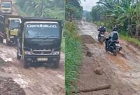 Jalan Hancur di Kampung Sri Way Langsep dan Waya Krui, Kecamatan Kalirejo akibat kendaraan tambang illegal.
