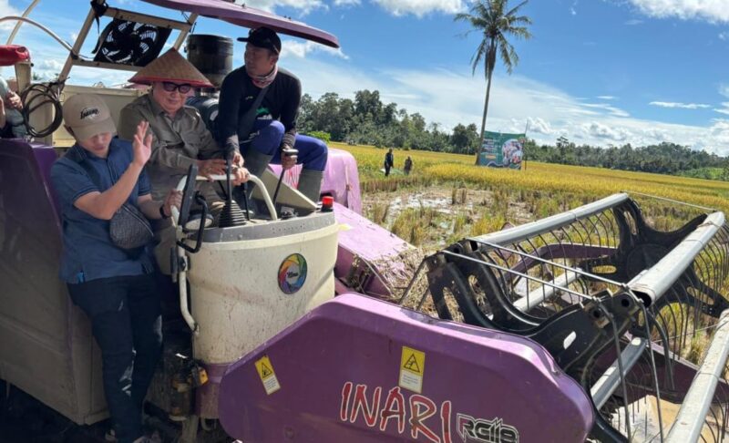 Bupati Tanggamus Moh Saleh Asnawi saat panen padi dengan alat mesin pertanian di Dusun Picung, Pekon Banjar Masin, Bulok, Senin 7 April 2025 | Asrul Ariski/Media Prioritastv.com.