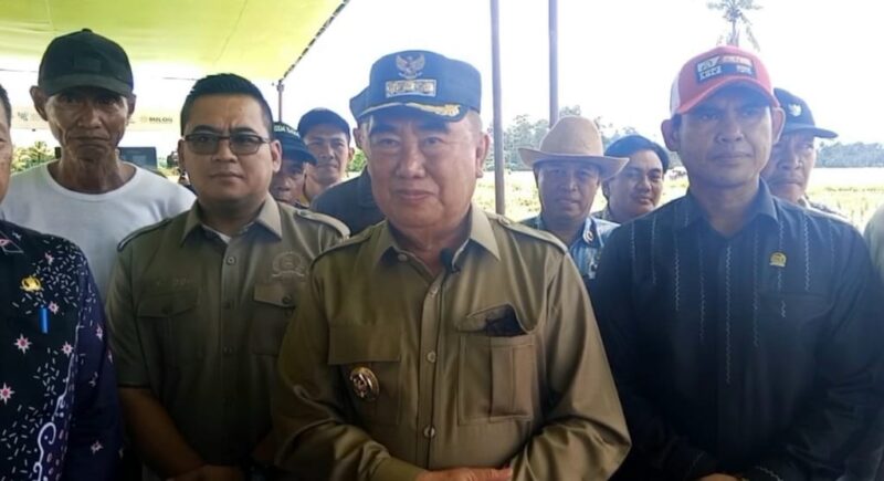 Bupati Tanggamus, Moh Saleh Asnawi saat memberikan keterangan pers usai panen padi serentak di Umbul Picung, Pekon Banjar Masin, Kecamatan Bulok, Senin 7 April 2025 | Asrul Ariski/Media Prioritastv.com.