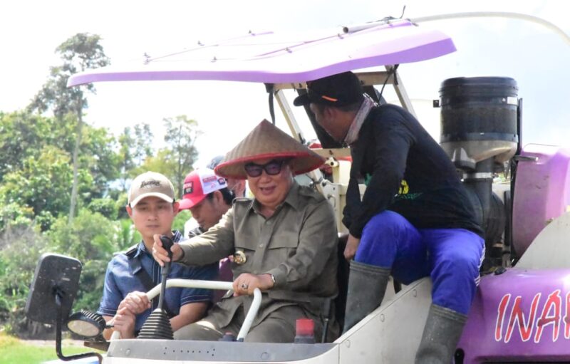 Bupati Tanggamus Moh. Saleh Asnawi saat memimpin pelaksanaan panen raya padi di Umbul Picung, Pekon Banjar Masin, Kecamatan Bulok, Senin 7 April 2025 | Herdi/Media Prioritastv.com.