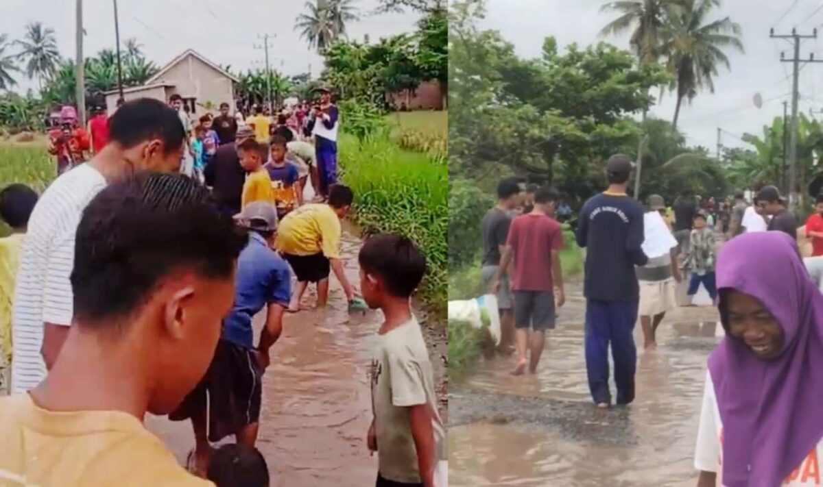 Kolase foto saat warga Sumberagung, Ambarawa Pringsewu gogoh iwak di Jalan Berkubang, Minggu 13 April 2025 | Dok. Istimewa.