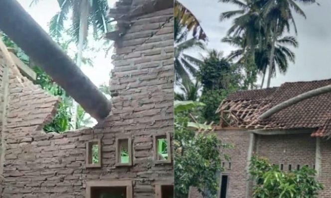 Kolase foto rumah yang tertimpa pohon di Dusun 1 Pekon Kalimiring, Kota Agung Barat, Tanggamus, Minggu 13 April 2025 | Dok. Istimewa.