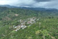 Lokasi lahan TNBBS di Lampung Barat yang telah dihuni oleh masyarakat | Dok. Ist.