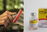 Ilustrasi serum anti-bisa ular (SABU) foto Shutterstock dan iklan SABU di internet |