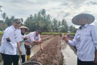 Wakil Bupati Tanggamus Agus Suranto saat memimpin kegiatan Gertak Mata Babe di Pekon Banjarsari, Wonosobo, Rabu 14 Mei 2025 | Edi Hidayat/Media Prioritastv.com.