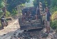 Warga Pekon Kubulangka, Cukuh Balak menggunakan mobil pickup L300 saat menimbun jalan Pekon Margamulya, Kekumbayan Barat menggunakan batu-batu kecil, Jumat 16 Mei 2025 | Aulia Rifai/Media Prioritastv.com.
