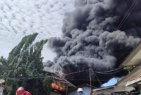 Kebakaran pabrik karet milik PT Teluk Luas Kecamatan Lubuk Begalung, Padang, Sumatera Barat, Minggu 18 Mei 2025, pukul 13.00 WIB.
