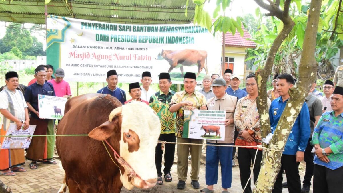 Bupati Tanggamus Moh. Saleh Asnawi saat menyerahkan secara simbolis sapi Kurban Presiden RI dan Pemkab Tanggamus, Kamis 6 Juni 2025 | Herdi/Media Prioritastv.com.