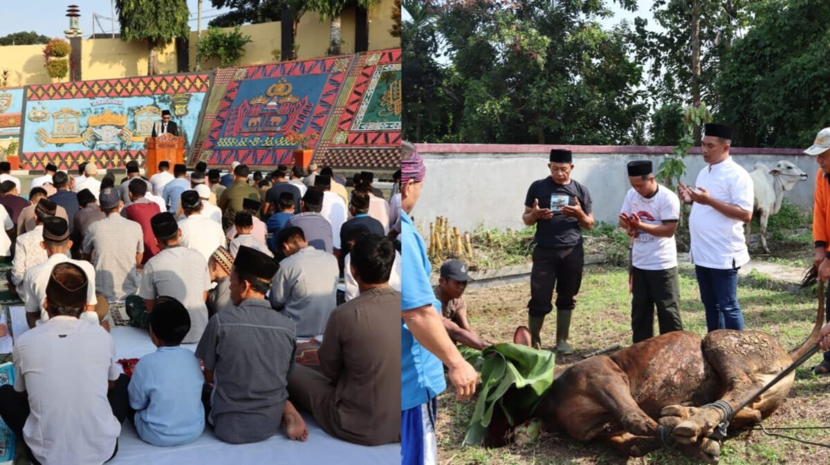 Kolase foto saat sholat Idul Adha di Polres Tanggamus dan saat penyembelihan hewan Kurban di lapangan tembak Polres Tanggamus, Jumat 6 Juni 2025 | Dok. Humas Polres Tanggamus.