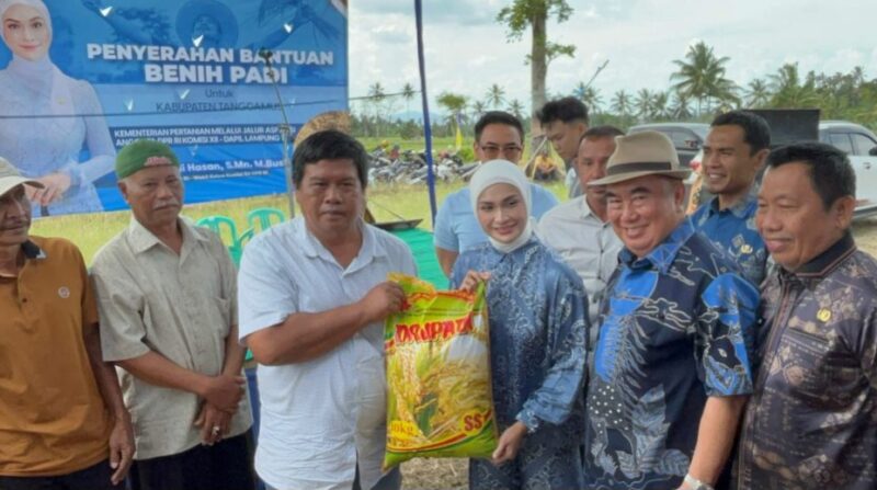 Wakil Ketua Komisi XII DPR RI, Putri Zulkifli Hasan didampingi Bupati Tanggamus saat menyerahkan bibit secara simbolis kepada petani di Pekon Banjar Manis, Gisting, Tanggamus, Sabtu 7 Juni 2025 |