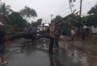 Polisi bersama tim gabungan dan warga saat mengevakuasi pohon tumbang di Gading Rejo, Pringsewu, Minggu 15 Juni 2025 |