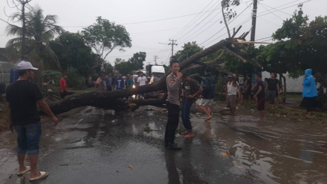 
 Polisi bersama tim gabungan dan warga saat mengevakuasi pohon tumbang di Gading Rejo, Pringsewu, Minggu 15 Juni 2025 |