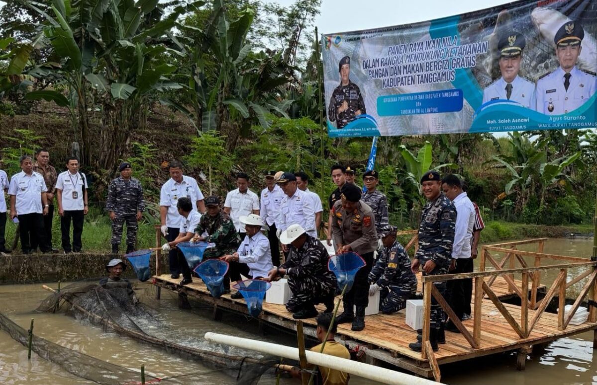 Wabup Tanggamus Agus Suranto saat memimpin panen raya ikan nila di Pekon Sindang Marga, Pulau Panggung, Tanggamus, Rabu 18 Juni 2025 | Asrul Ariski/Media Prioritastv.com.