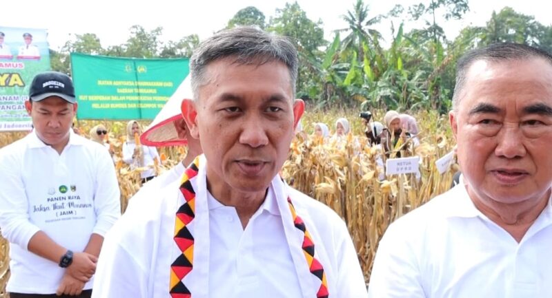 Kejati Lampung, Danang Suryo Wibowo saat memberikan keterangan terkait aplikasi Jaga Desa usai panen raya jagung program JAIM Kejari Tanggamus di Pekon Gisting Bawah, Kamis 26 Juni 2025 | Asrul Ariski/Media Prioritastv.com