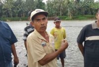 Saksi Suwardi bersama warga lainnya saat memberikan keterangan terkait detik-detik evakuasi korban serangan buaya di Sungai Semaka, Tanggamus, Senin 30 Juni 2025 | Herdi/Media Prioritastv.com.