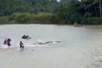 Sejumlah warga saat menyerbu buaya yang memangsa warga semaka Tanggamus, Senin 30 Juni 2025 | Dok. Ist.
